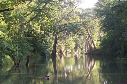 Medina River